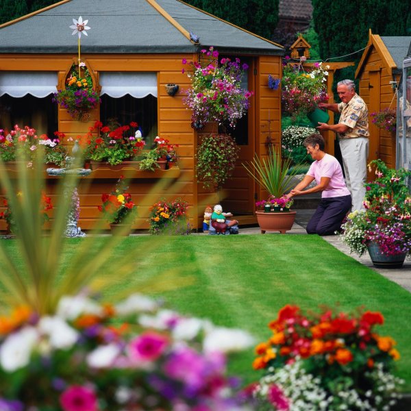 красивая дача