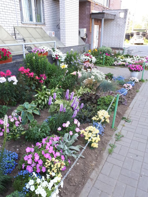 цветы у подъезда