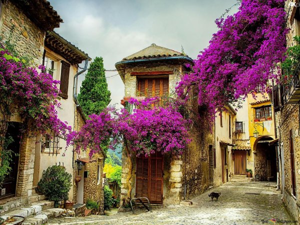 прованс франция