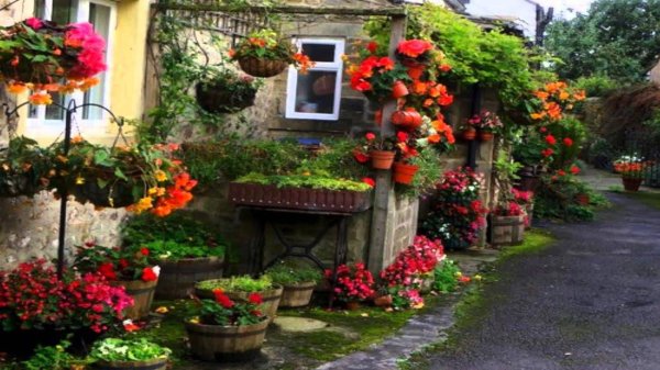 дизайн сада