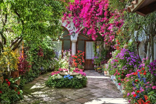 двор с цветами