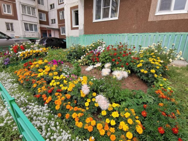 красивые дворы