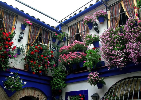 цветущий балкончик сицилия