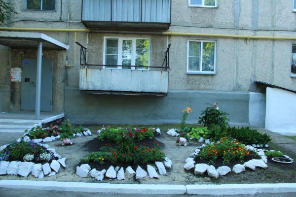цветы у подъезда