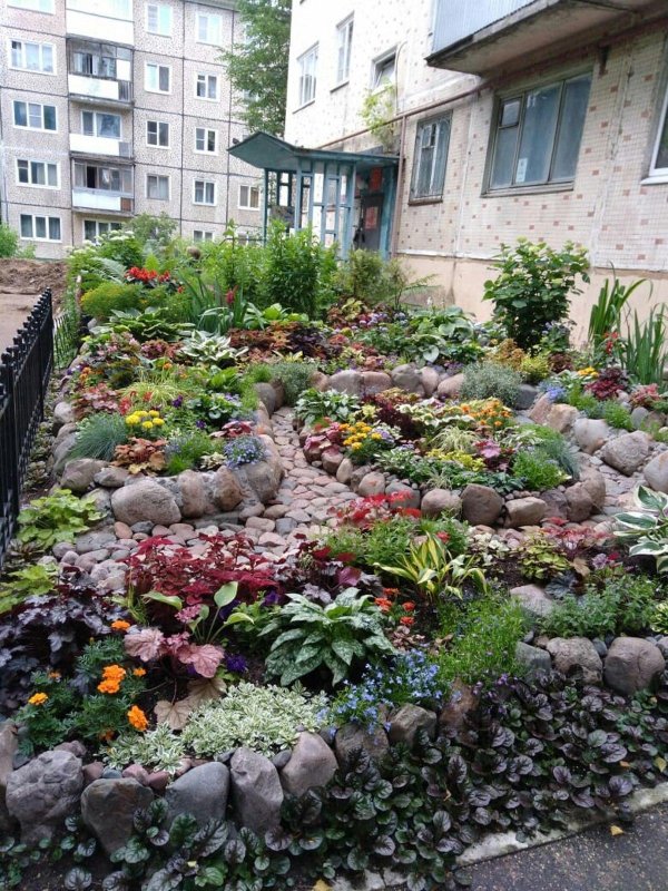 клумба томск