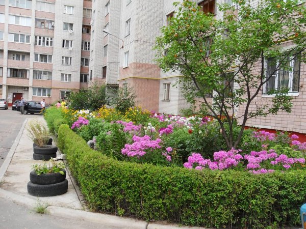 северное бутово лучший двор палисадник