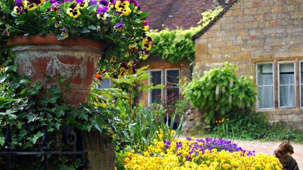 english cottage garden