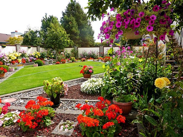 ландшафтного дизайна