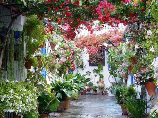 испания кордова цветочная улица