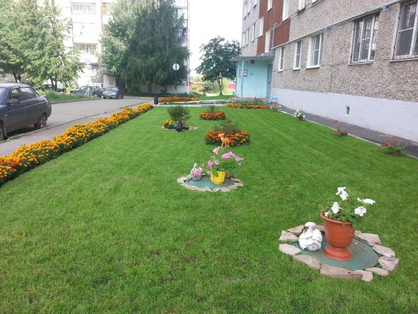 озеленение придомовой территории