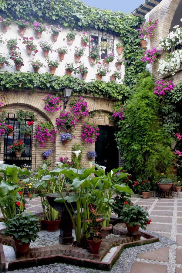 испания кордова цветочная улица