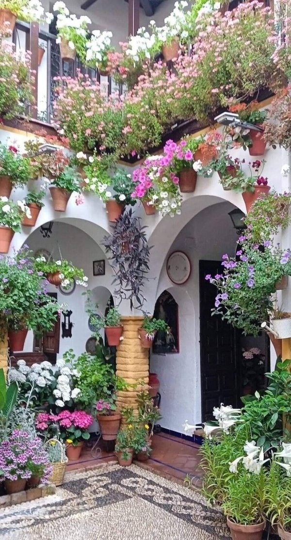 испанский дворик патио