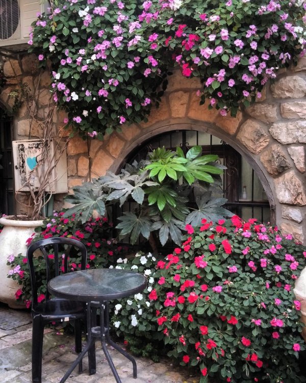 двор с цветами