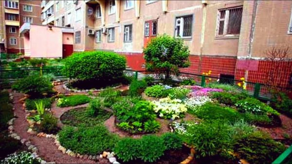 озеленение придомовой территории