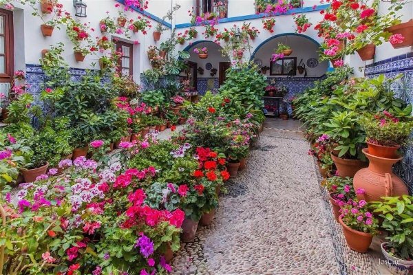 испания кордова цветочная улица