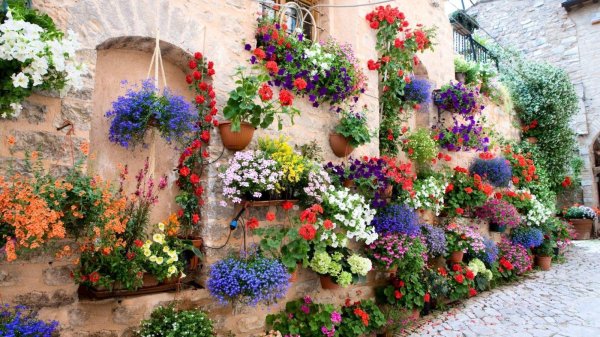 спелло умбрия