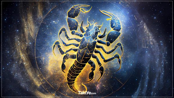 Девушка и скорпион