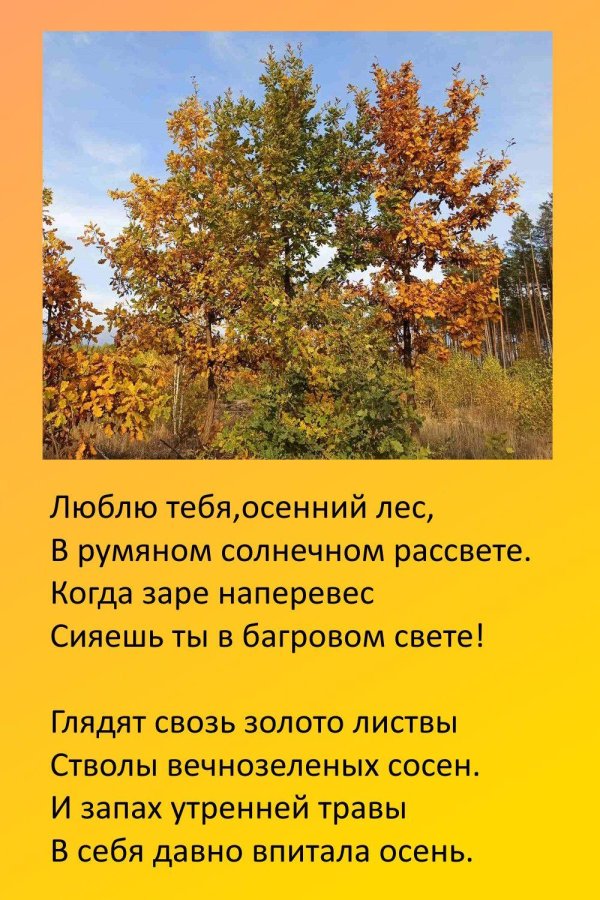 Осени с девушками