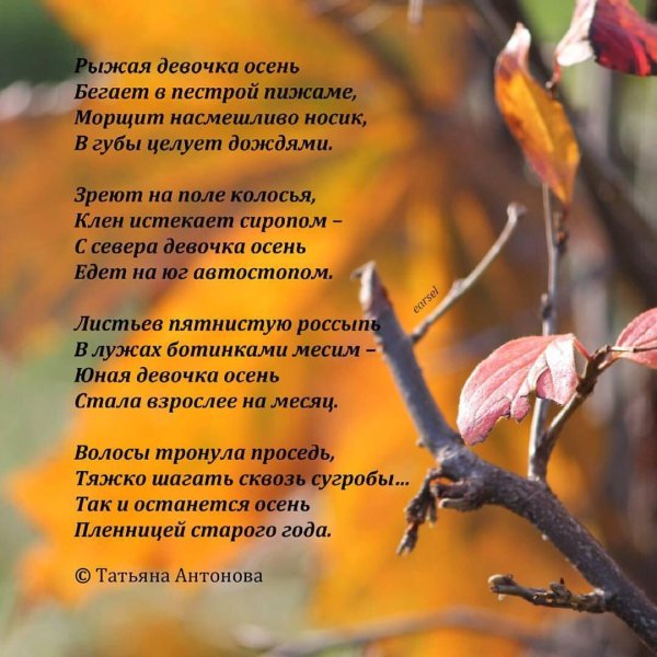 Осени с девушками