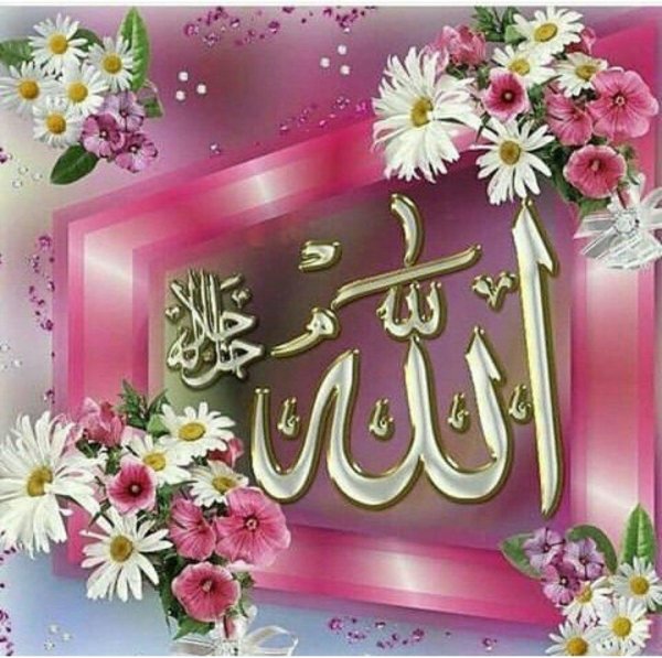 мусульманская роза