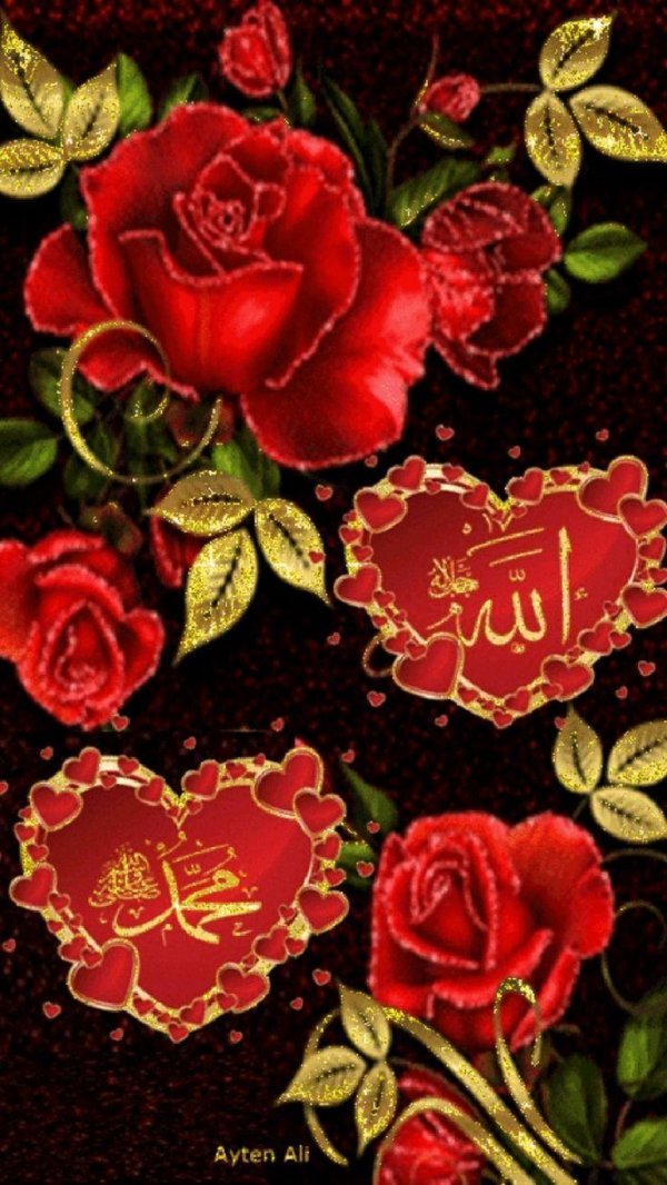 исламские розы