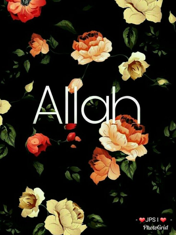 цветы ислам