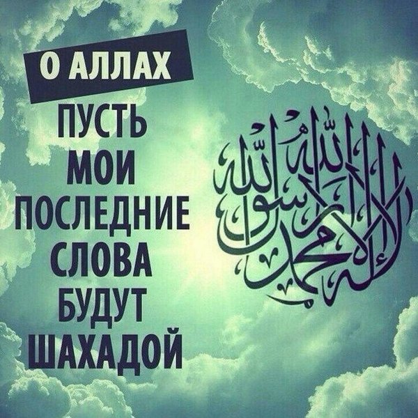 ля иляха илляллах мухаммадан расулюллах