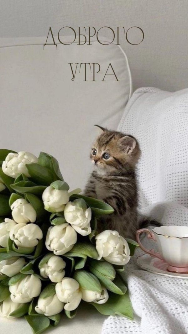 Утренние с девушками