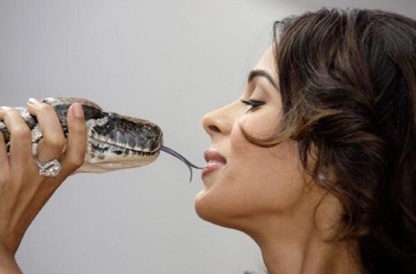 Девушка и змей