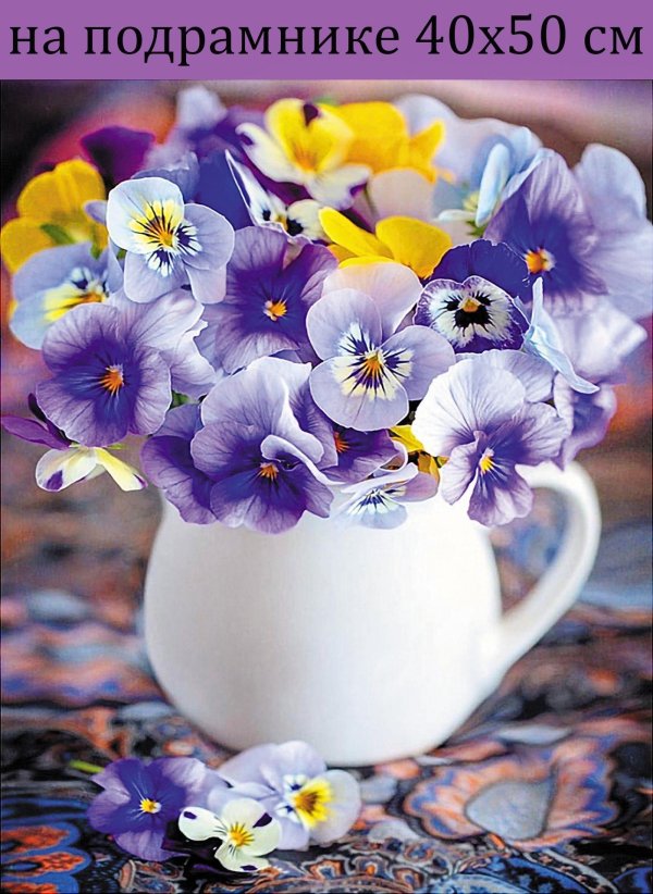 фиалка цветок