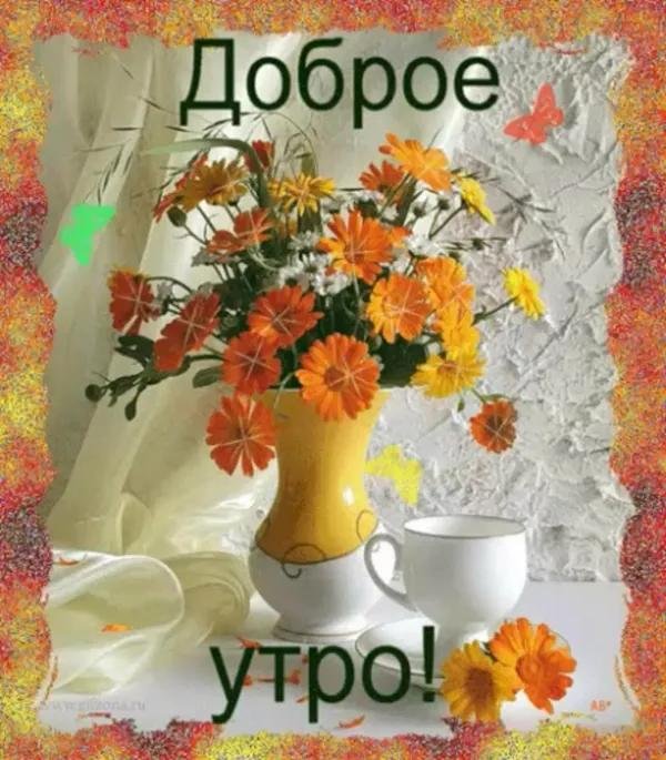 открытки с добрым утром