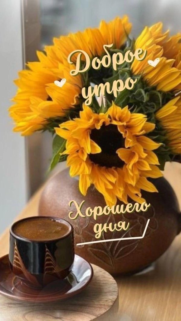 добра утра