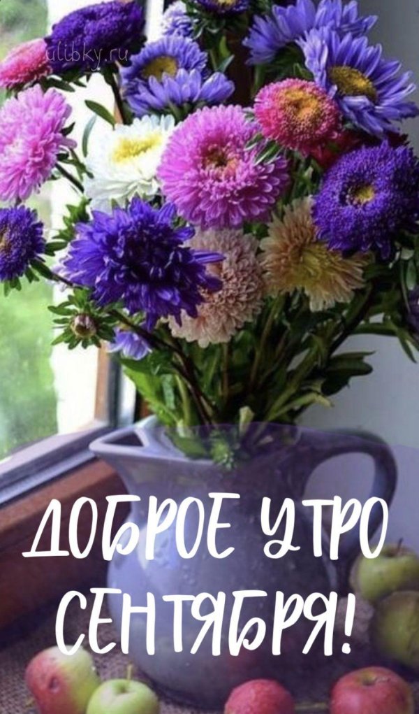 осенние цветы доброе утро