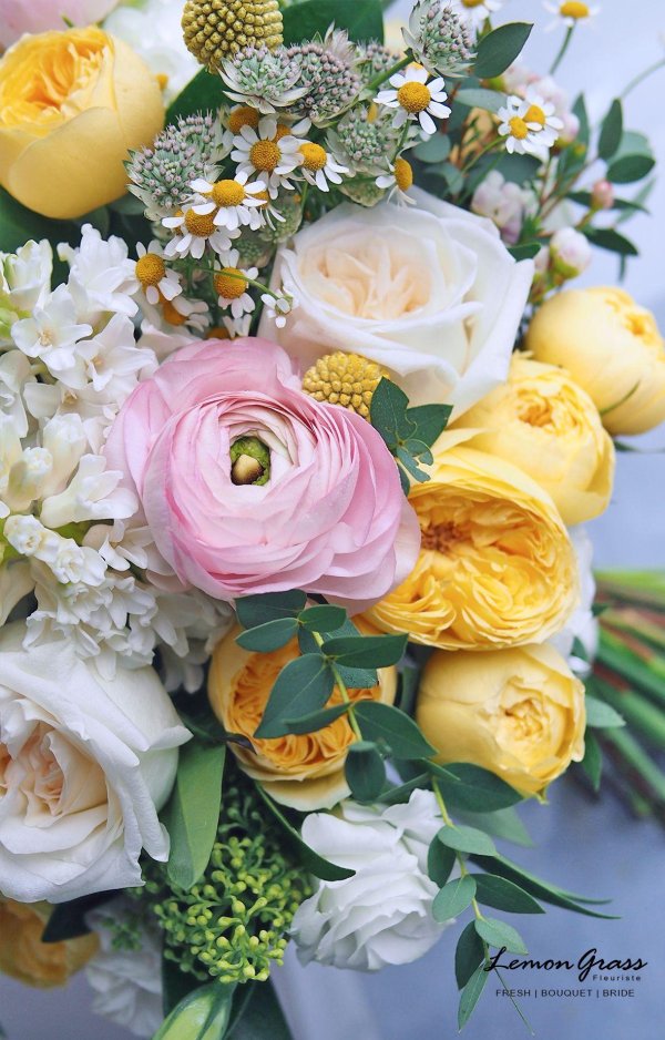 пионовидные розы желтые