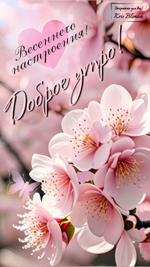 добрейшего весеннего утра