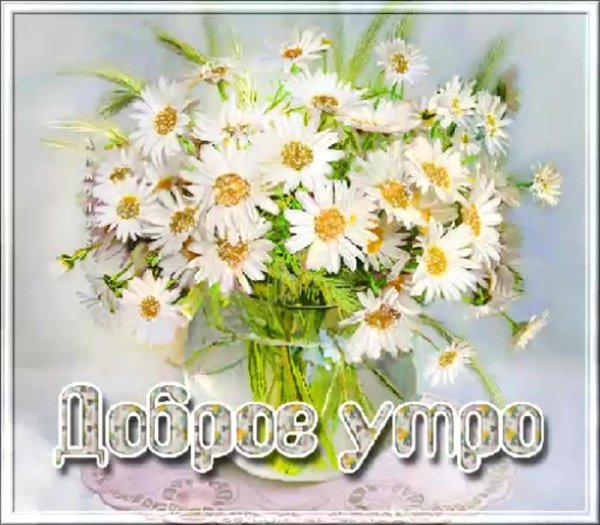 доброе утро с ромашками и пожеланиями