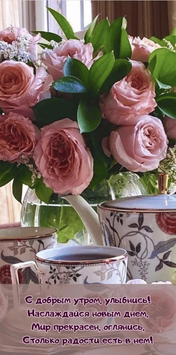с добрым утром розы красивые