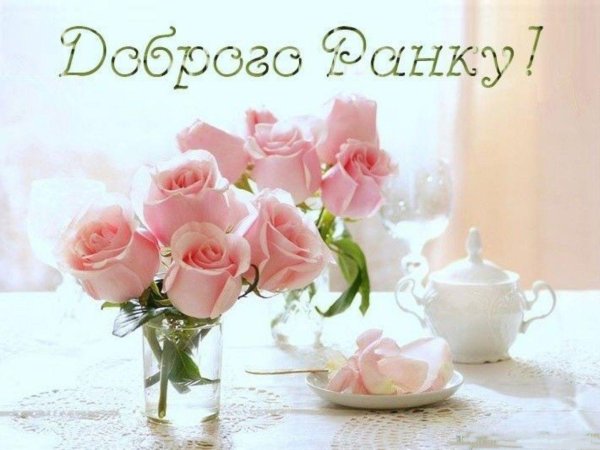 нежный цветок