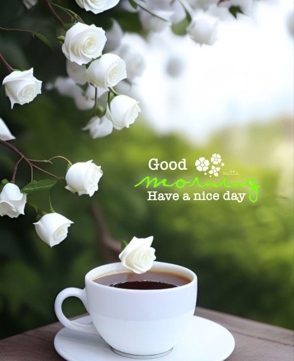 Добрый день с цветами