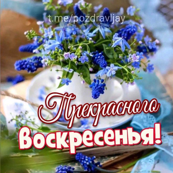 замечательного воскресенья