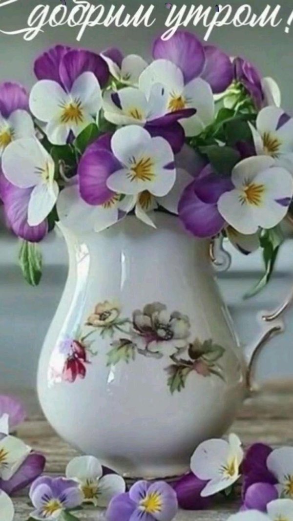 анютины глазки