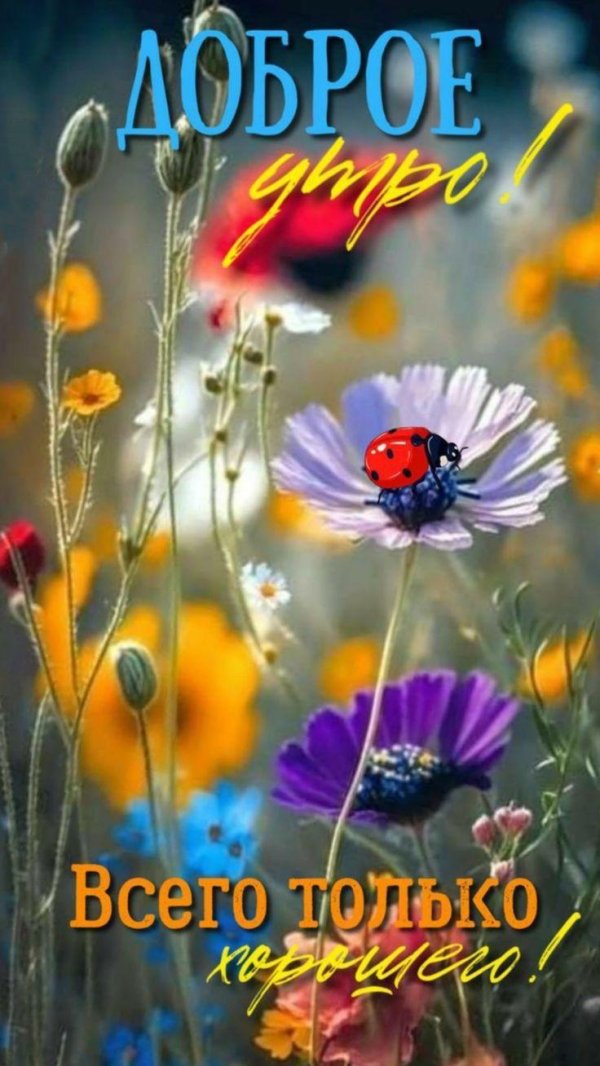 добрейшего летнего утра