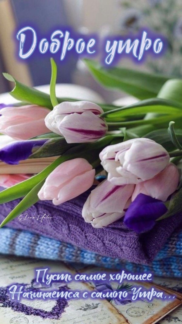 добрейшего весеннего утра