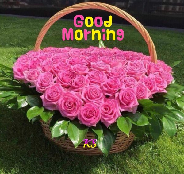 огромные букеты цветов