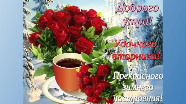 прекрасного вторника и отличного настроения