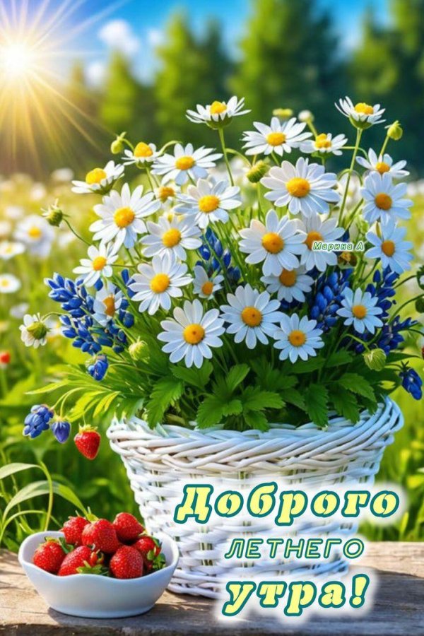 добрейшего летнего утра