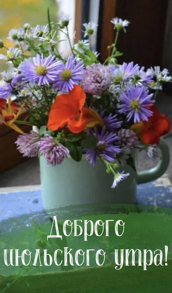 доброго июльского утра