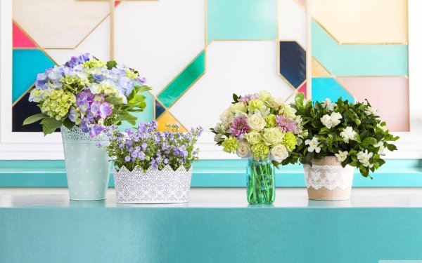 Квартира с цветами