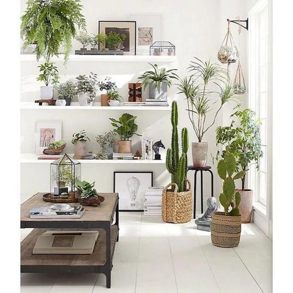 цветок в интерьере