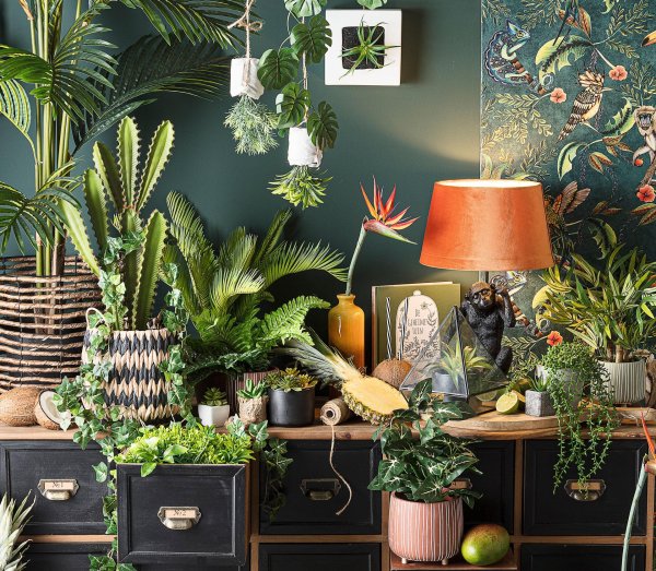 урбан джангл стиль